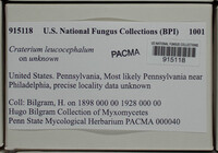 Image Associated With the Occurence